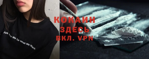 дживик Баксан